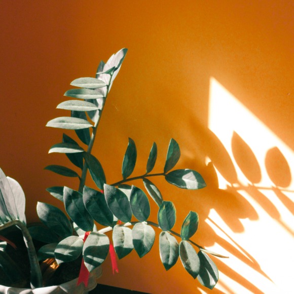 Meet your Posher, Teresa - Picture 1 of 1